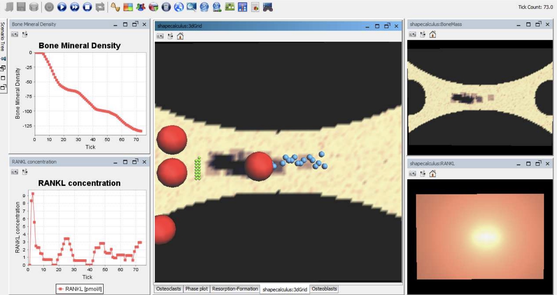 Formal analysis of bone remodelling