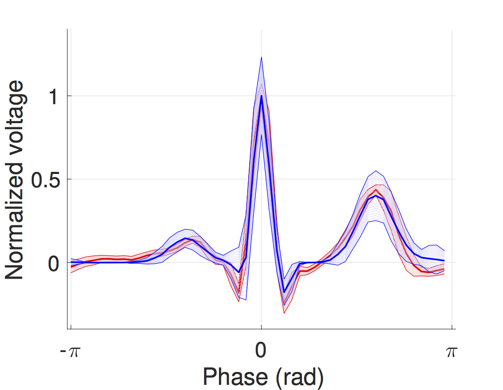 Probabilistic timed modelling of cardiac dynamics and personalization from ECG